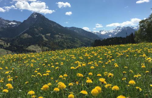 BERGFEX Falkenberg 202 mit Sommer-Bergbahnticket - Photo 24