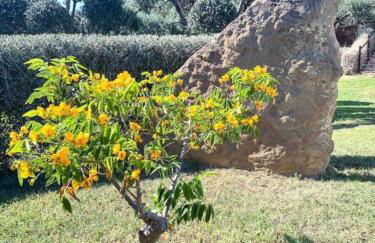 TheVilla holiday - Foto 37