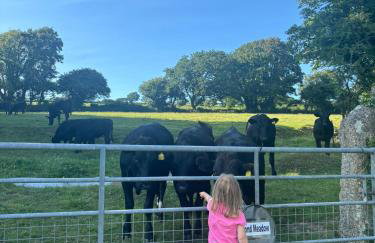 Tregolls Farm Cottages - Foto 18