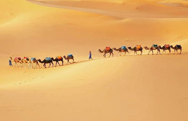 Merzouga Exotic Luxury Camp Is The Best Location - Photo 6