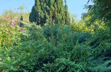 Le Gîte au bord de la Forêt - Foto 33