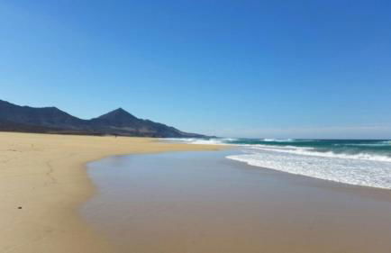 Holamigos Morro Jable - Foto 38