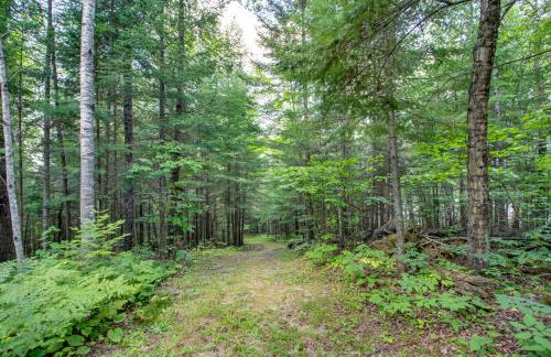 Nashwauk Studio with Ice Fishing on South Fork Lake - Foto 26