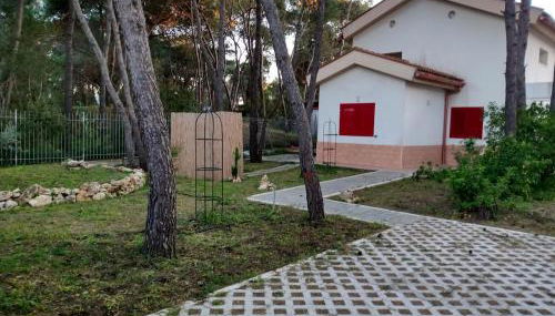 Villa immersa in pineta 100m dalla spiaggia - Foto 2