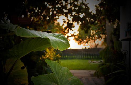 Natur - Quinta Nª Srª da Conceição - T4 - Golegã - Foto 20