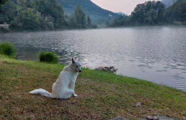 Eden Lake "L'Angolino di GIULIO" - Foto 20