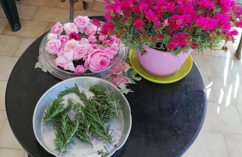 North Evia Evanthia Greece - Photo 14