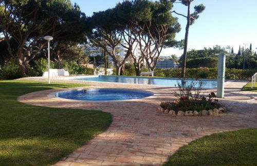 Vieira apartment 1 - Foto 4