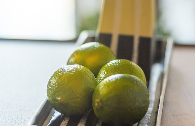 Provenir Home Kwiatowa 5 - Foto 50