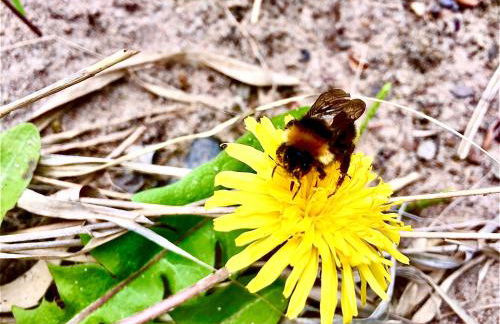 Güneitzblick - Foto 20