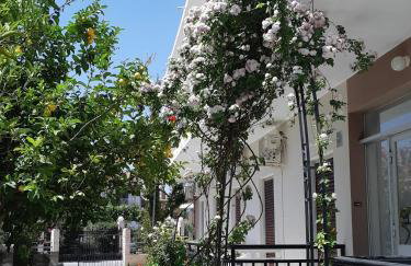 Kontogiannis Lihas Club - Photo 14