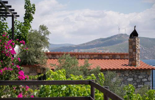 Agrilia Koromili Retreat - Foto 38