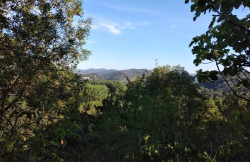 Le Cocon de la Corgne - Foto 14