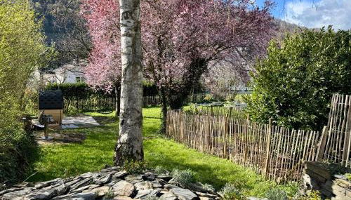 Garden Eden & Sauna - Foto 5