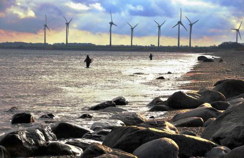 Küstenblick Marienleuchte - Foto 23