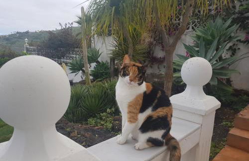 Villa Larnia de Tenerife - Foto 44