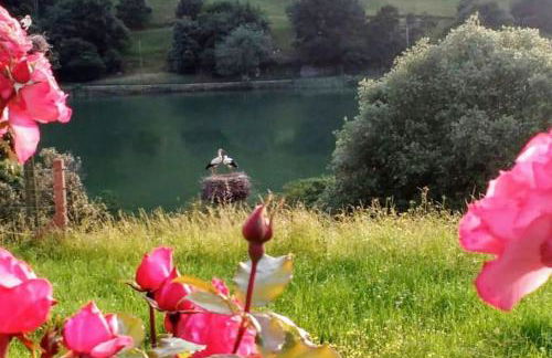 PequeñoCabárceno - Foto 27