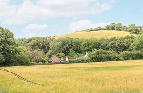 Hole Farm Stables - Foto 41