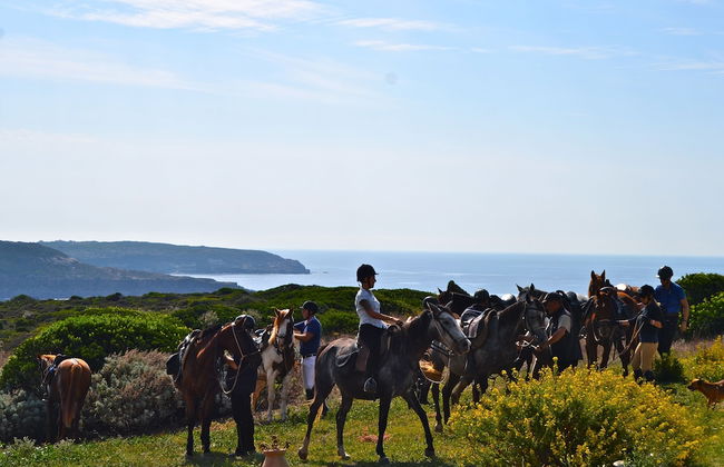 Poecylia Resort - Photo 12