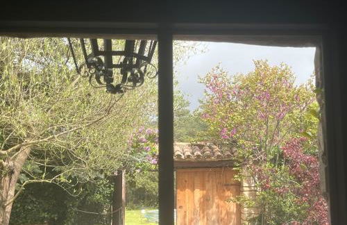 Masiadenjust - Foto 52