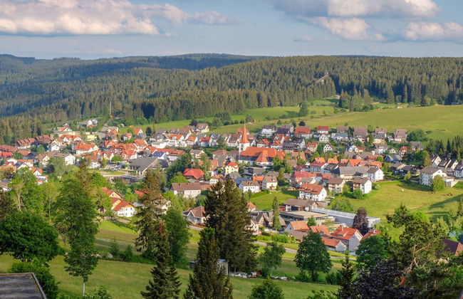 Schwarzwaldblick - Foto 9