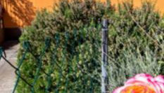 Diana Apartman - Foto 5