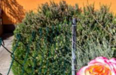 Diana Apartman - Photo 5