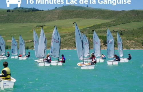 Élégance Lauragaise * Wifi * Netflix * Terrasse - Photo 11