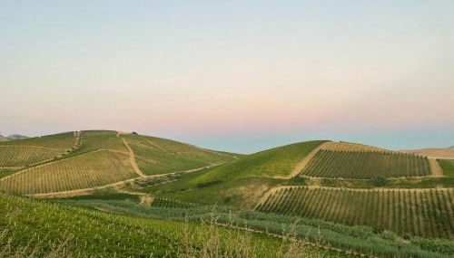 Tenuta dei Principi di Spadafora - Foto 3