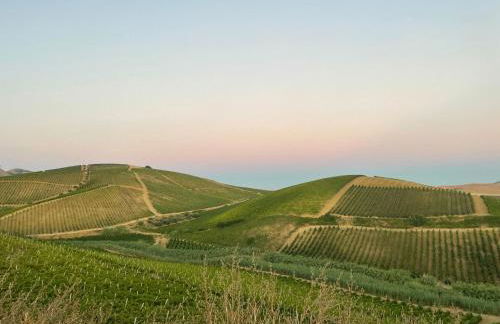 Tenuta dei Principi di Spadafora - Foto 3