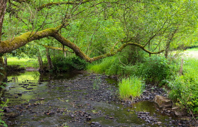 La Rochette - Foto 16