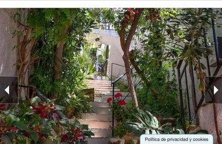 Balcón de Málaga - Foto 21