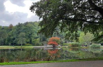 Forest Inn, retreat in nature - Foto 29