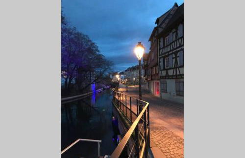 Coeur Alsace - Foto 30