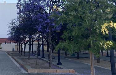 Acogedor estudio La Marina - Foto 25