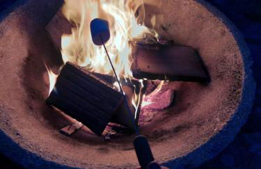 Private Garden Lodge in Christchurch, Dorset for 4 - dogs welcome! - Foto 12