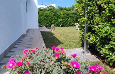 Endless Summer - Photo 1