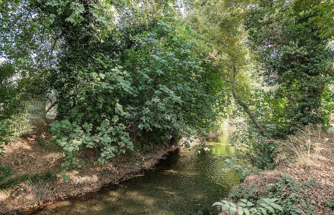 Villa Nature Kalives Chania - Foto 31