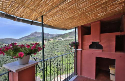 Mamaamelia - Foto 25