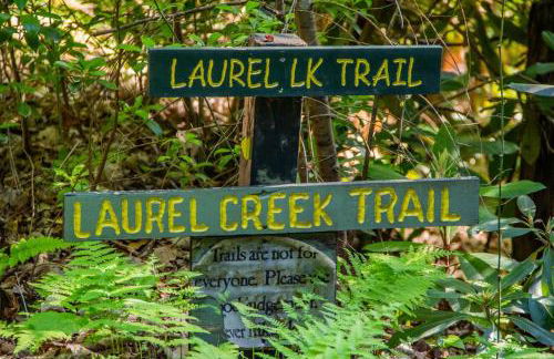 Eagle Point - Powder Horn Mountain - Foto 37