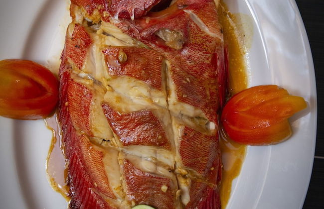 CASAMIA Oceanfront Condo Nilaveli - Foto 15