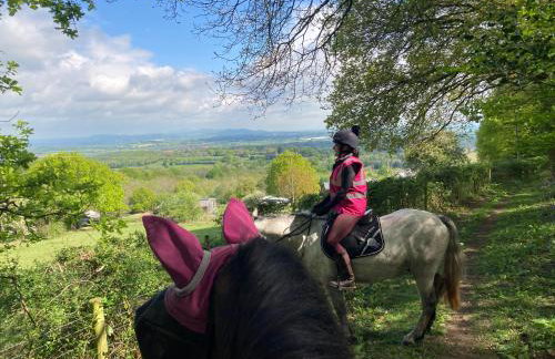 Outstandingly Situated Cosy Shepherds Hut - Foto 62