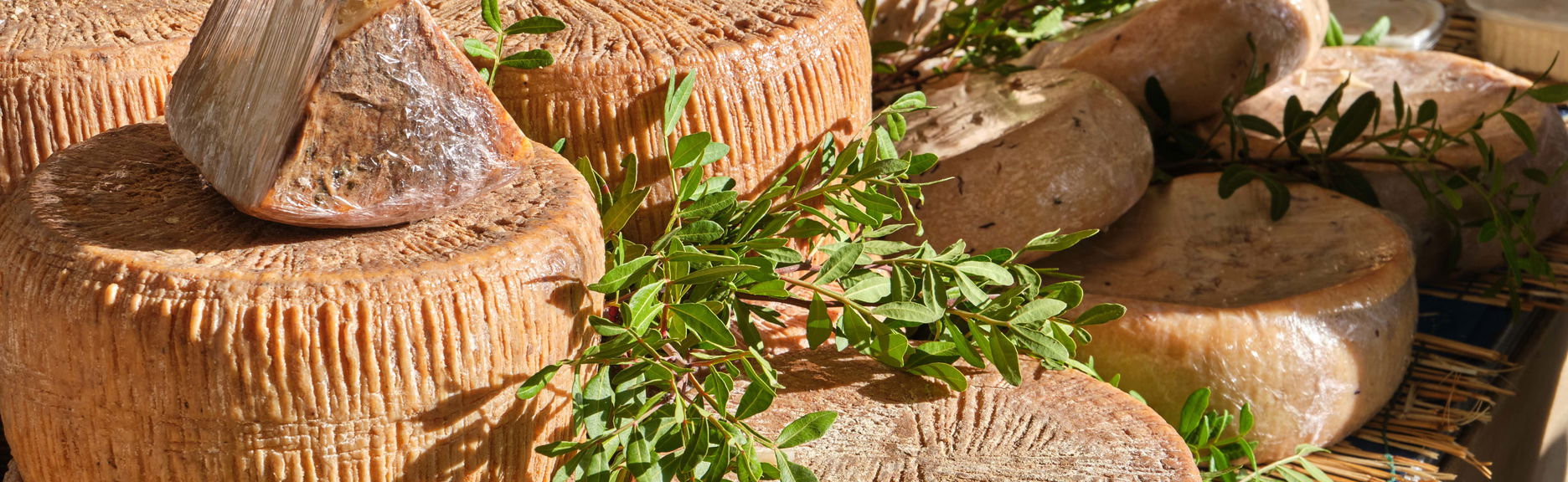 Visite gastronomique de la Sardaigne