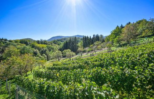 Pet Friendly Home In Ivanec With Wifi - Foto 15