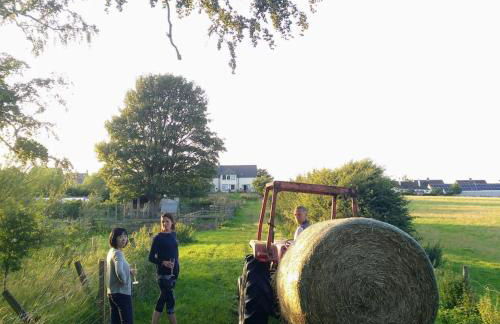 Bastle Retreats Farm Cottage - Foto 19