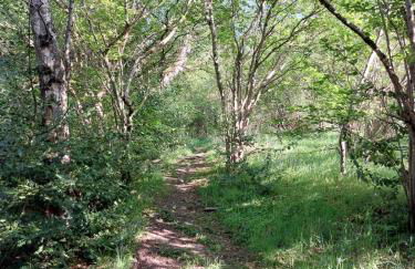 Treetops - Bright 2 Bed Flat - Super Location - Photo 3