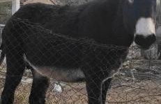 Eleni De Lux - Photo 17