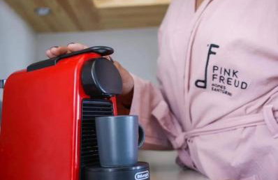 Pink Freud Villas Santorini - Photo 37