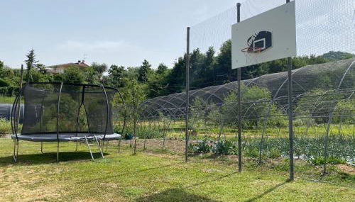 Appartamento Trifoglio - Foto 5