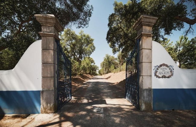 Quinta dos Anjos - Foto 50